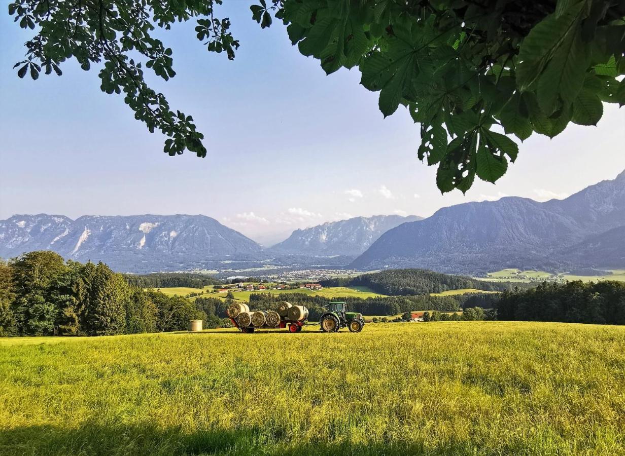 Ferienwohnungen Elise und Miro Bad Reichenhall Exterior foto