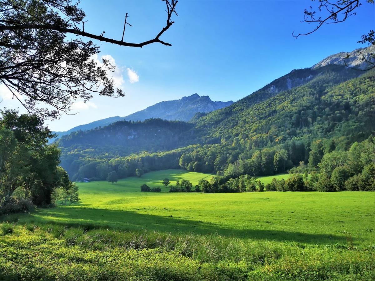 Ferienwohnungen Elise und Miro Bad Reichenhall Exterior foto